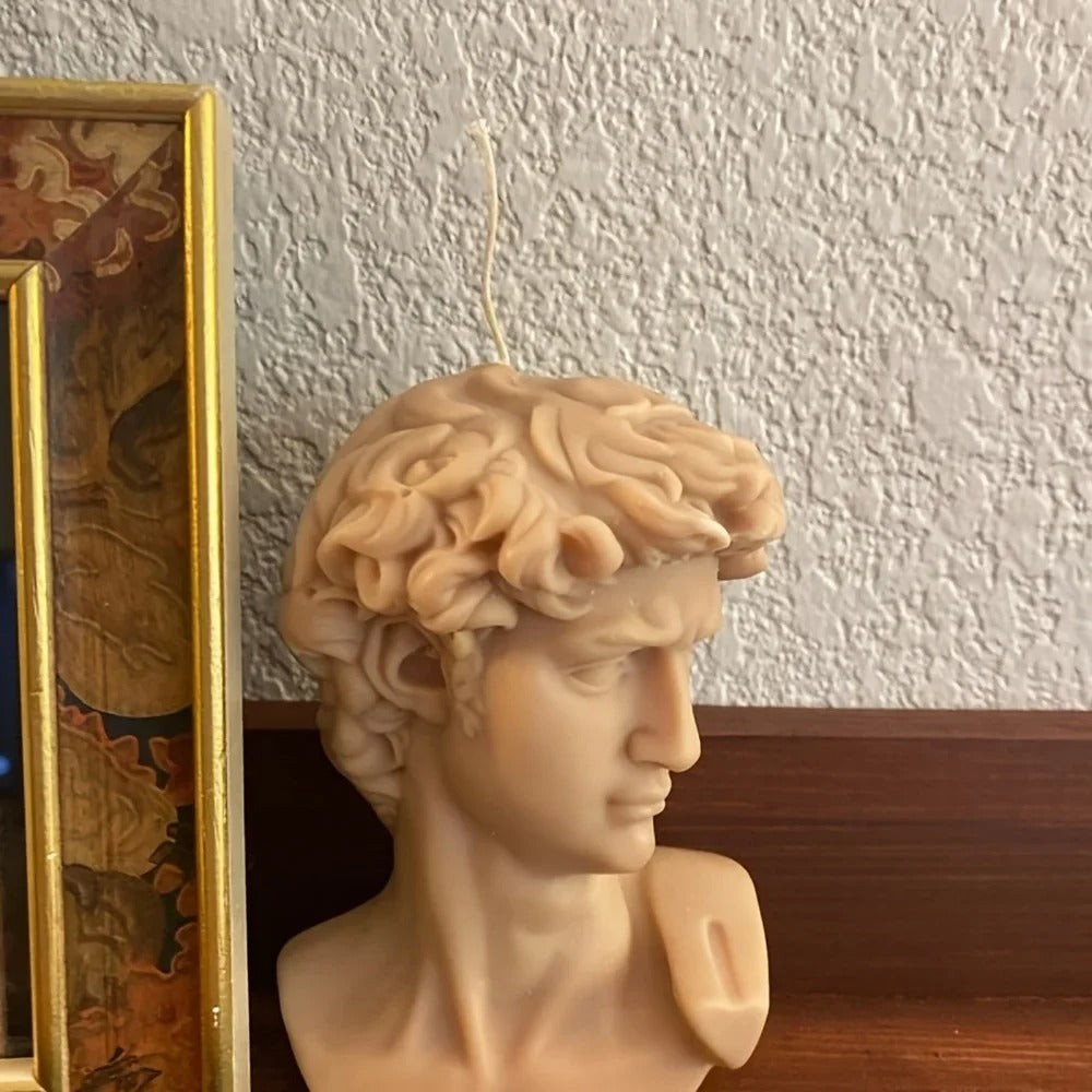 Michelangelo's David Head Silicone Mold -  Candle Mold Supplies